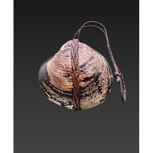 Fiji Clam Shell Amulet ex Nelly Van den Abbeele,